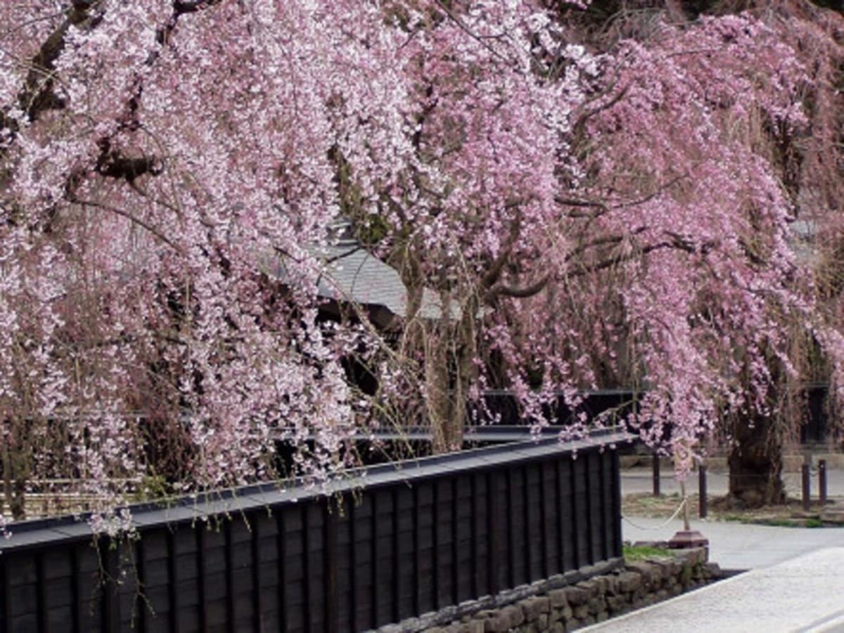 Tamachi Bukeyashiki Hotel - Vacation Stay 20163V Daisen  Esterno foto