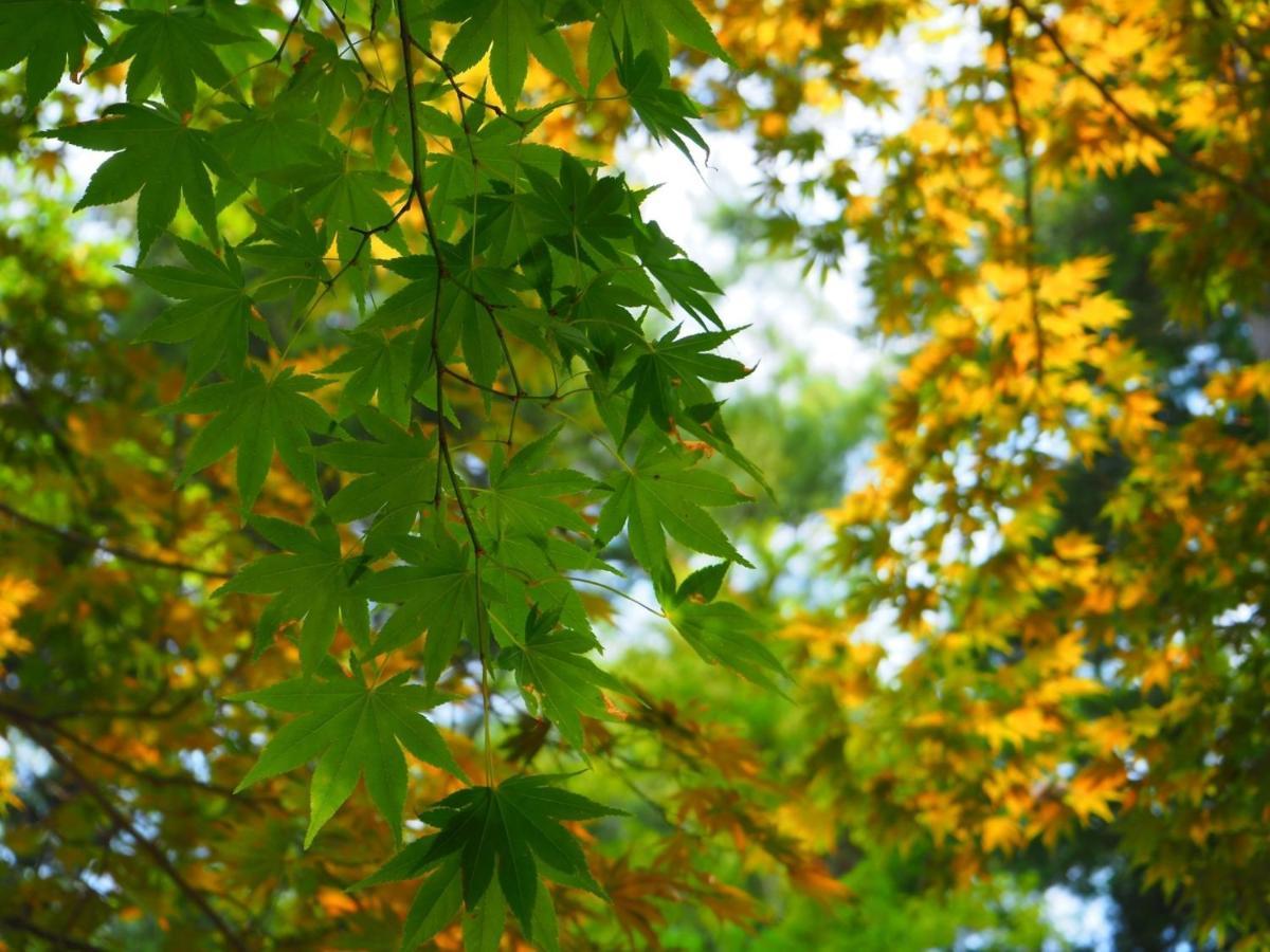 Tamachi Bukeyashiki Hotel - Vacation Stay 20163V Daisen  Esterno foto