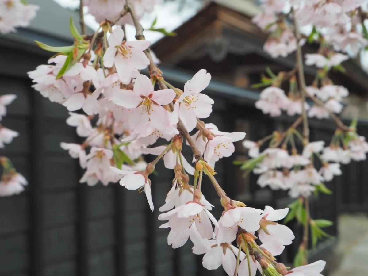 Tamachi Bukeyashiki Hotel - Vacation Stay 20163V Daisen  Esterno foto